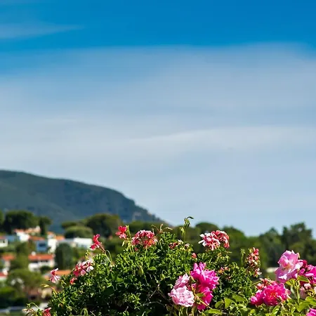 Διαμέρισμα Casa Vacanze Il Tiglio *